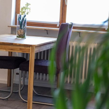 Ferienwohnung Schott Kippenheim Dış mekan fotoğraf